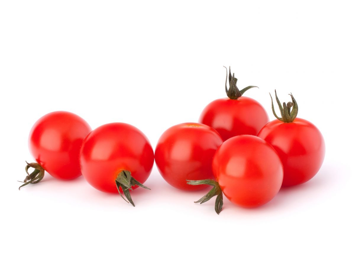 fotolia_55078999_subscription_xl-copy