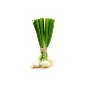 oignon_vert