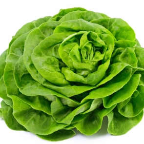 salade-laitue