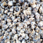 Toufa 500g