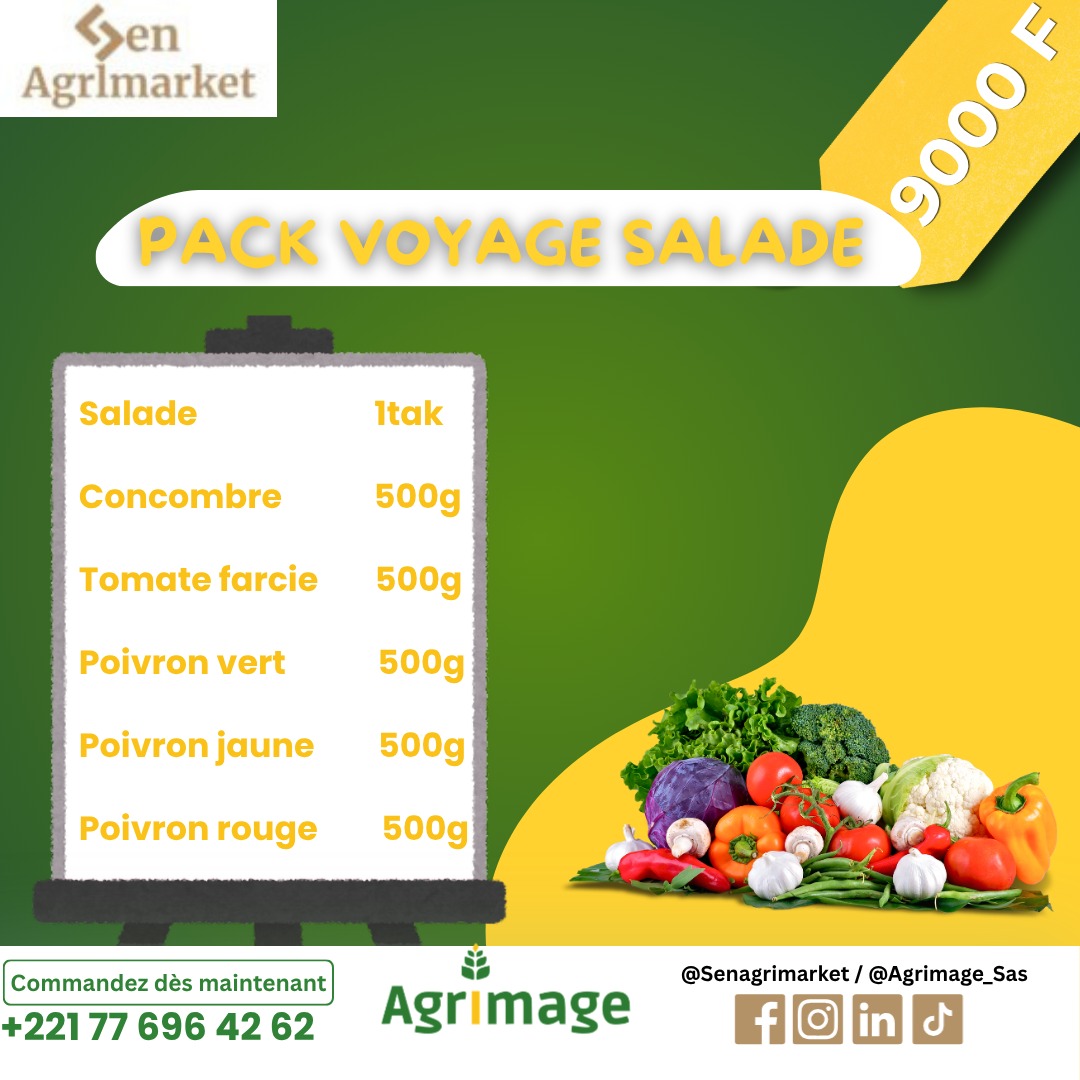 VOYAGE SALADE